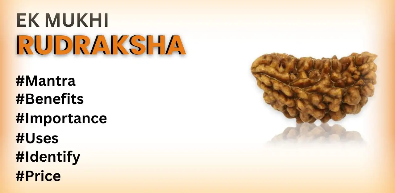 1 Mukhi Rudraksha - Unlock the Power of Lord Shiva's Tears