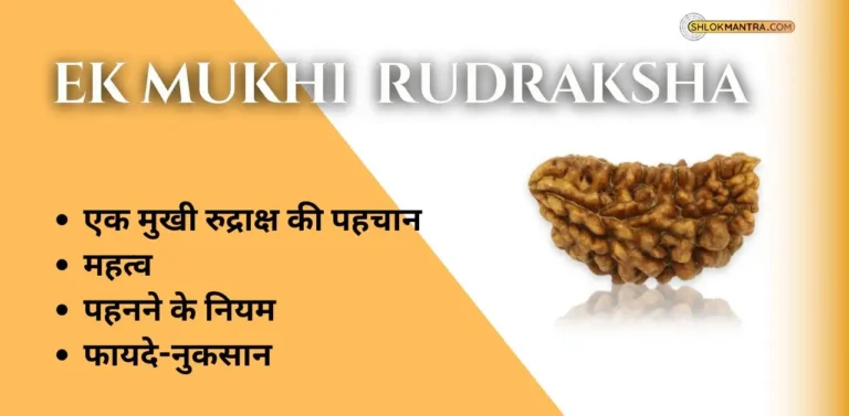 Ek Mukhi Rudraksha पहचान,मंत्र,महत्व,नियम,फायदे-नुकसान