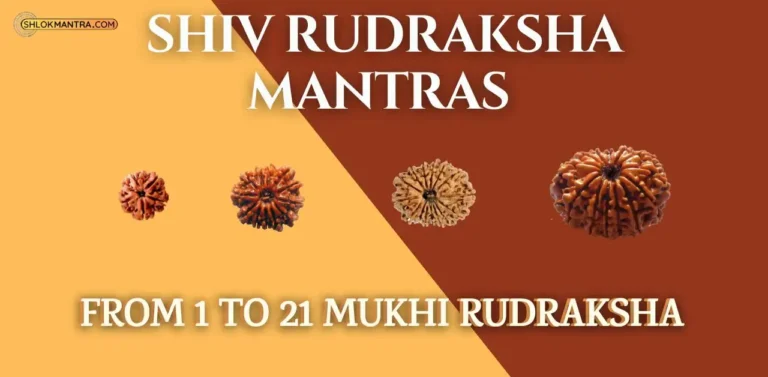 List of Shiv Rudraksha Mantras from 1 to 21 Mukhi Rudraksha