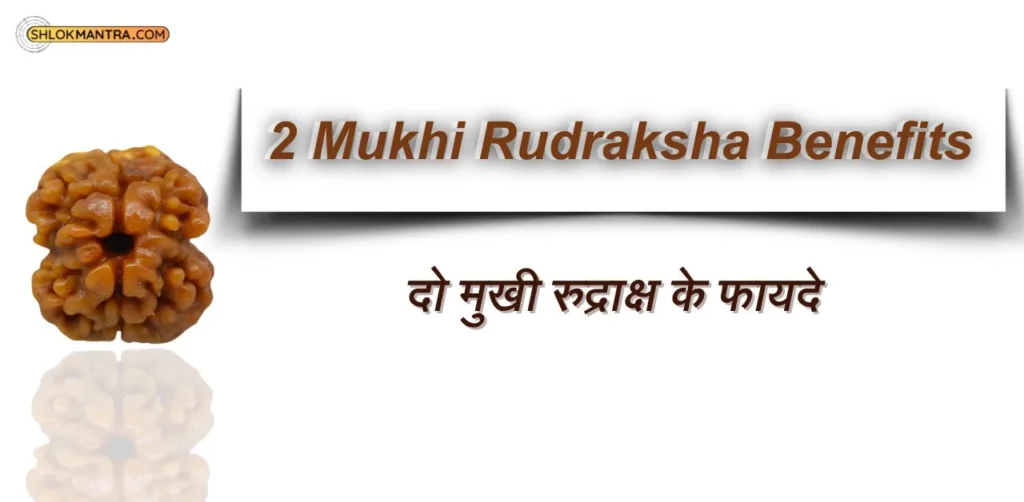 2 Mukhi Rudraksha Benefits in Hindi दो मुखी रुद्राक्ष के फायदे