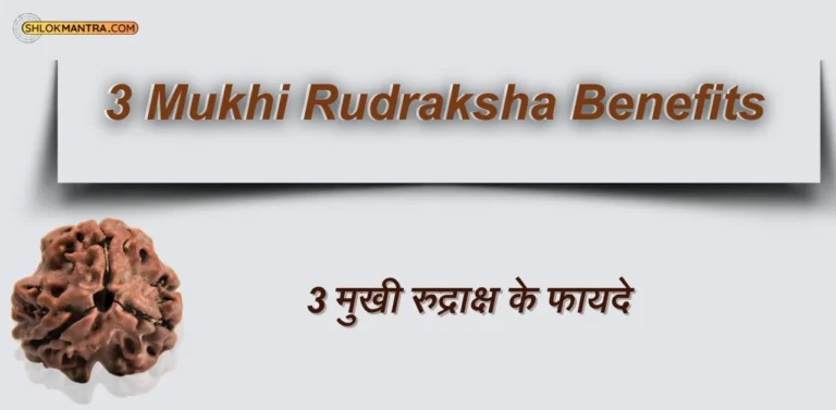 3 Mukhi Rudraksha Benefits in Hindi 3 मुखी रुद्राक्ष के फायदे